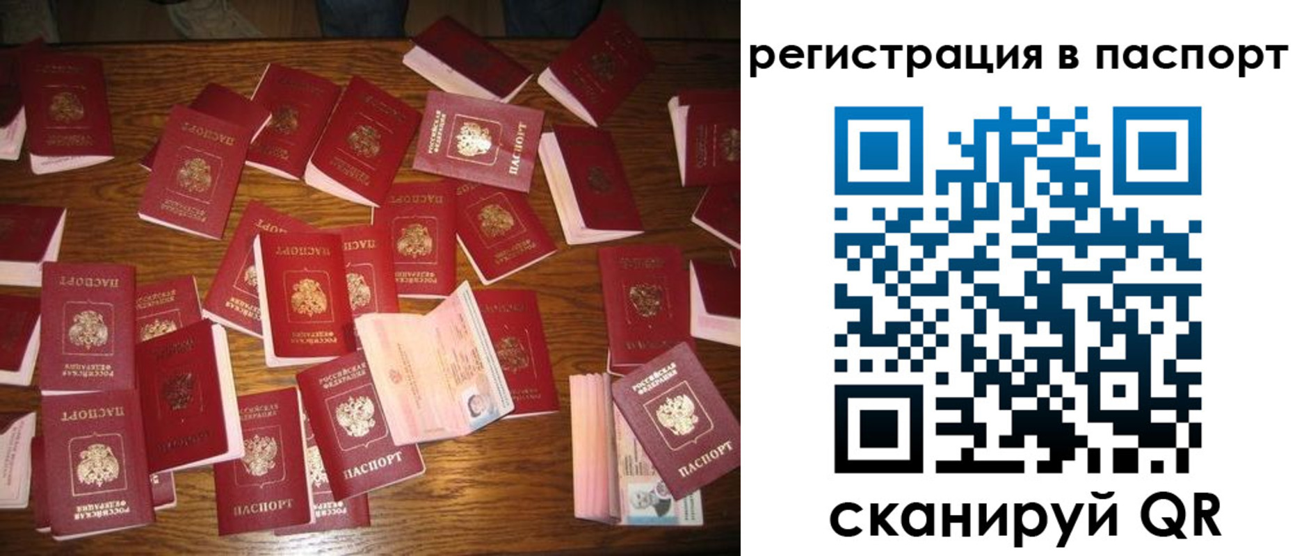 прописка иностранных граждан в Зеленогорске
